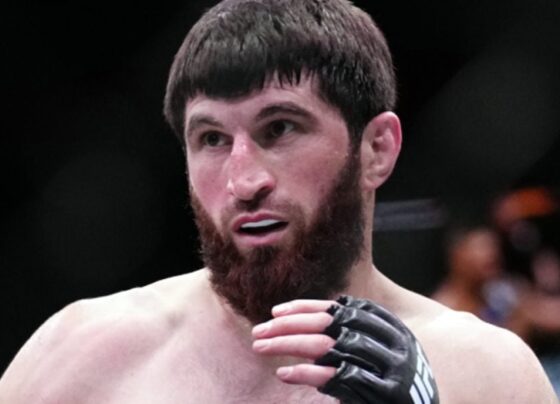 Magomed Ankalaev nocauteou Johnny Walker no UFC